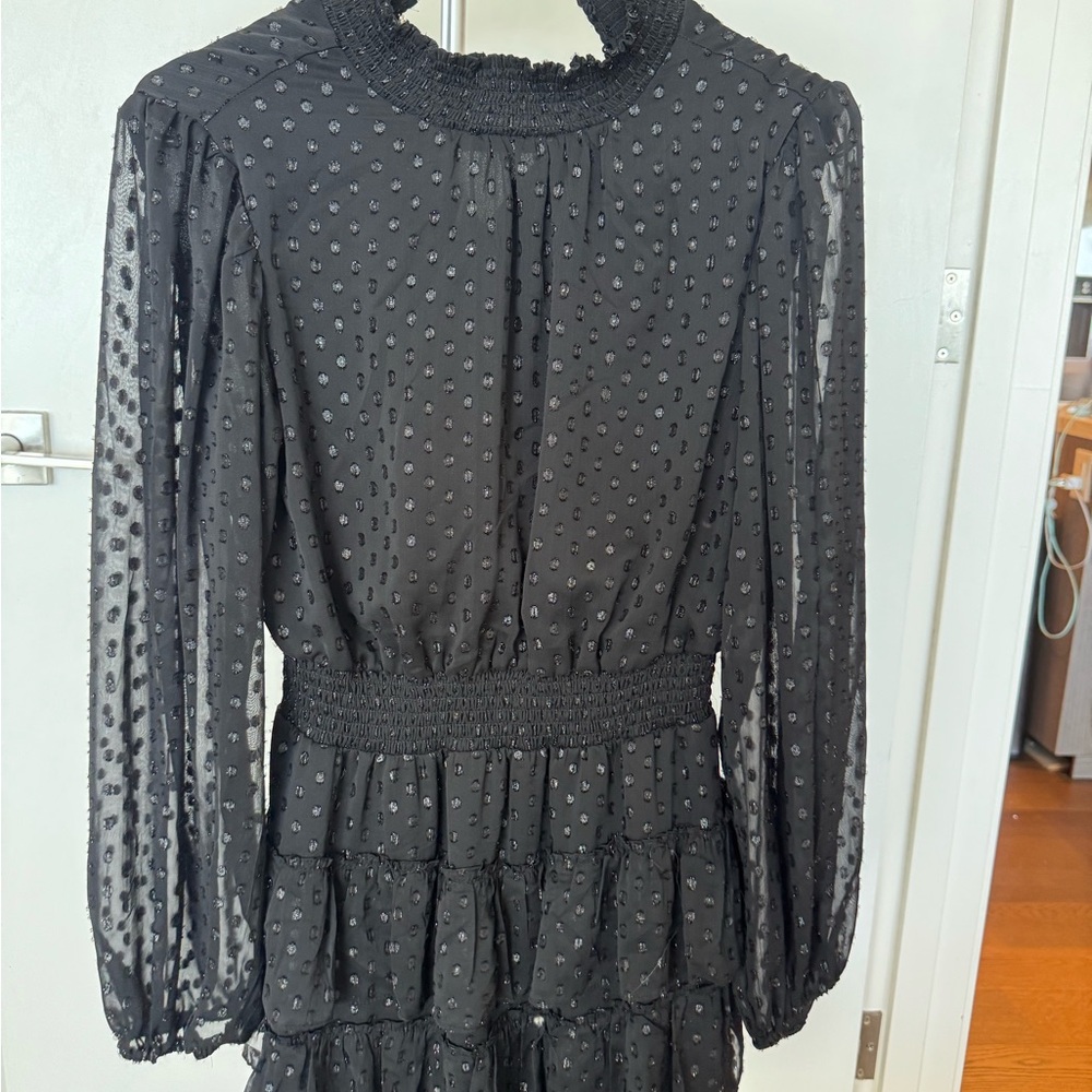 Express Elegant Black Smocked Dress